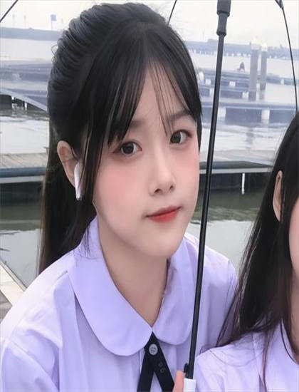 《别惹佐汉》详细剧情商业解析：从开场到结局的完整叙事分析，1080P高清